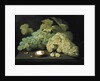 Grapes with half a walnut by Jacob Foppens van Es