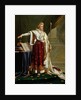 Portrait of Napoleon Bonaparte by Anne Louis Girodet de Roucy-Trioson