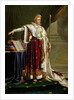 Portrait of Napoleon Bonaparte by Anne Louis Girodet de Roucy-Trioson