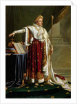 Portrait of Napoleon Bonaparte by Anne Louis Girodet de Roucy-Trioson