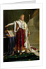 Portrait of Napoleon Bonaparte by Anne Louis Girodet de Roucy-Trioson