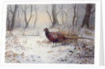 Pheasants in Snow by Carl Donner