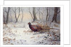 Pheasants in Snow by Carl Donner