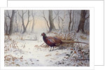 Pheasants in Snow by Carl Donner