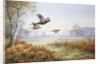 Pheasants in Flight by Carl Donner