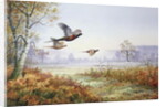 Pheasants in Flight by Carl Donner