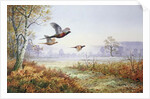 Pheasants in Flight by Carl Donner