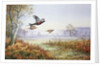 Pheasants in Flight by Carl Donner