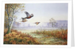 Pheasants in Flight by Carl Donner