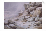 Ptarmigan in snow covered landscape by Carl Donner