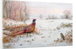 Pheasant and bramblefinch in the snow by Carl Donner