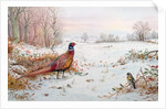 Pheasant and bramblefinch in the snow by Carl Donner