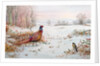 Pheasant and bramblefinch in the snow by Carl Donner