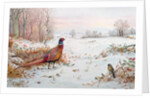 Pheasant and bramblefinch in the snow by Carl Donner