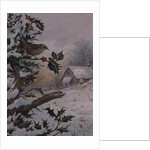 Wren in Hollybush by a cottage by Carl Donner