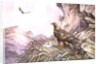 Golden Eagles at their Eyrie by Carl Donner