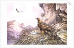 Golden Eagles at their Eyrie by Carl Donner