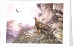 Golden Eagles at their Eyrie by Carl Donner