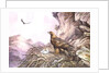 Golden Eagles at their Eyrie by Carl Donner