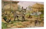Donkey and Farmyard Fowl by Carl Donner