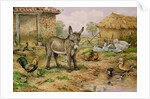 Donkey and Farmyard Fowl by Carl Donner