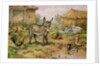 Donkey and Farmyard Fowl by Carl Donner