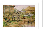 Donkey and Farmyard Fowl by Carl Donner