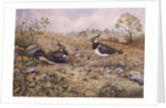 Lapwing Family with Goldfinches by Carl Donner