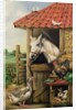 Farmyard Friends by Carl Donner