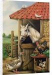 Farmyard Friends by Carl Donner