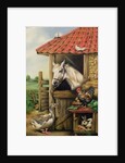 Farmyard Friends by Carl Donner