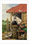 Farmyard Friends by Carl Donner