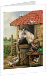 Farmyard Friends by Carl Donner
