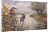 Kingfishers on the Riverbank by Carl Donner