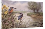Kingfishers on the Riverbank by Carl Donner