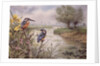 Kingfishers on the Riverbank by Carl Donner