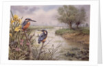 Kingfishers on the Riverbank by Carl Donner