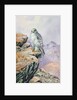 Gyrfalcon by Carl Donner
