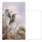 Bee-Eaters by Carl Donner