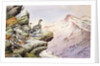 Ptarmigan on the High Tops by Carl Donner
