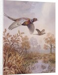Over the Fen by Carl Donner