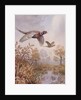 Over the Fen by Carl Donner