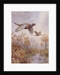 Over the Fen by Carl Donner