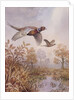 Over the Fen by Carl Donner