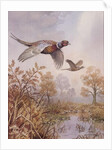 Over the Fen by Carl Donner