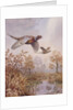 Over the Fen by Carl Donner