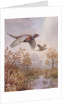 Over the Fen by Carl Donner