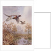 Over the Fen by Carl Donner