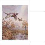 Over the Fen by Carl Donner