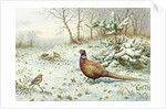 Cock Pheasant and Chaffinch by Carl Donner